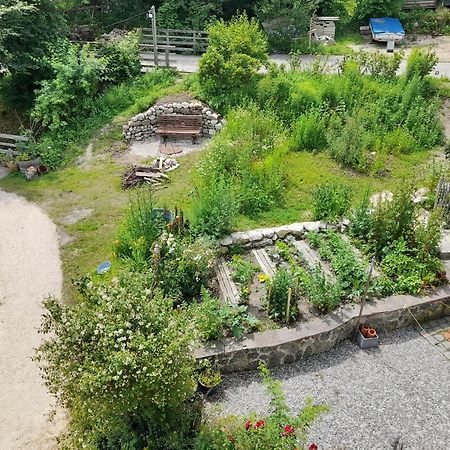 Im Naturgarten Тайзендорф Екстериор снимка