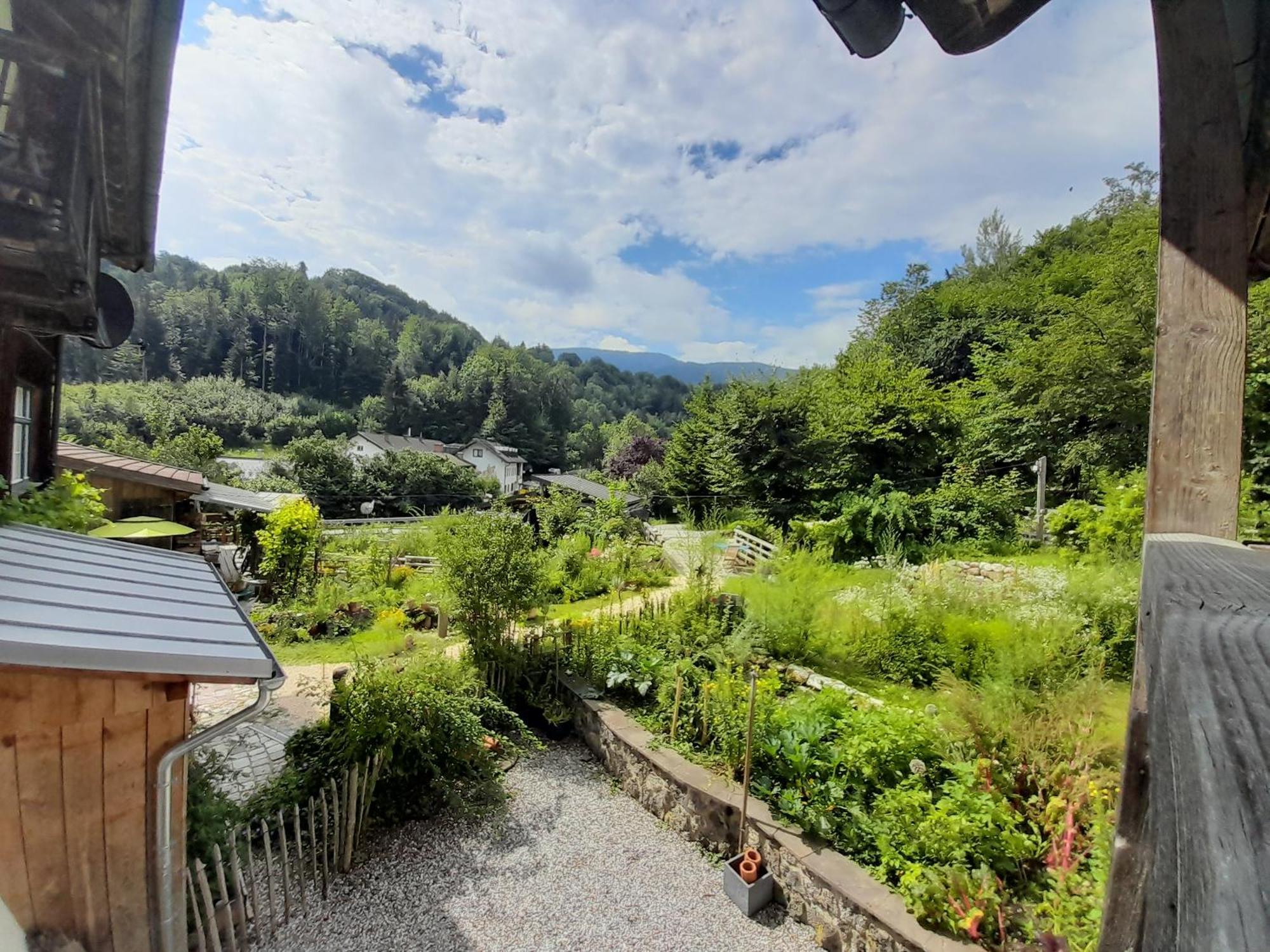 Im Naturgarten Тайзендорф Екстериор снимка