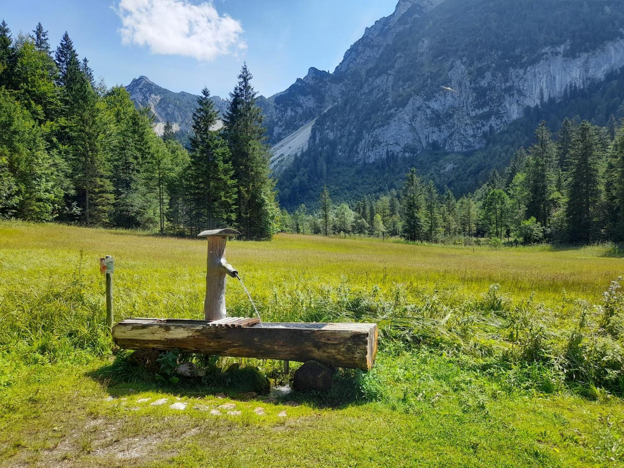 Im Naturgarten Тайзендорф Екстериор снимка